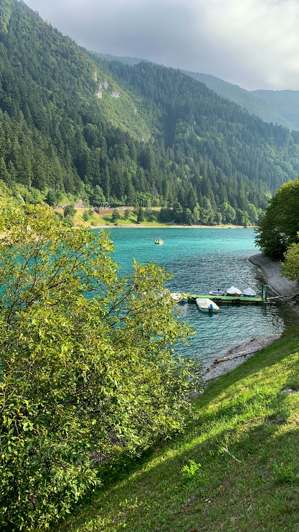 a body of water surrounded by mountains and trees