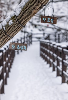 a snowy path with wooden benches and signs hanging from it