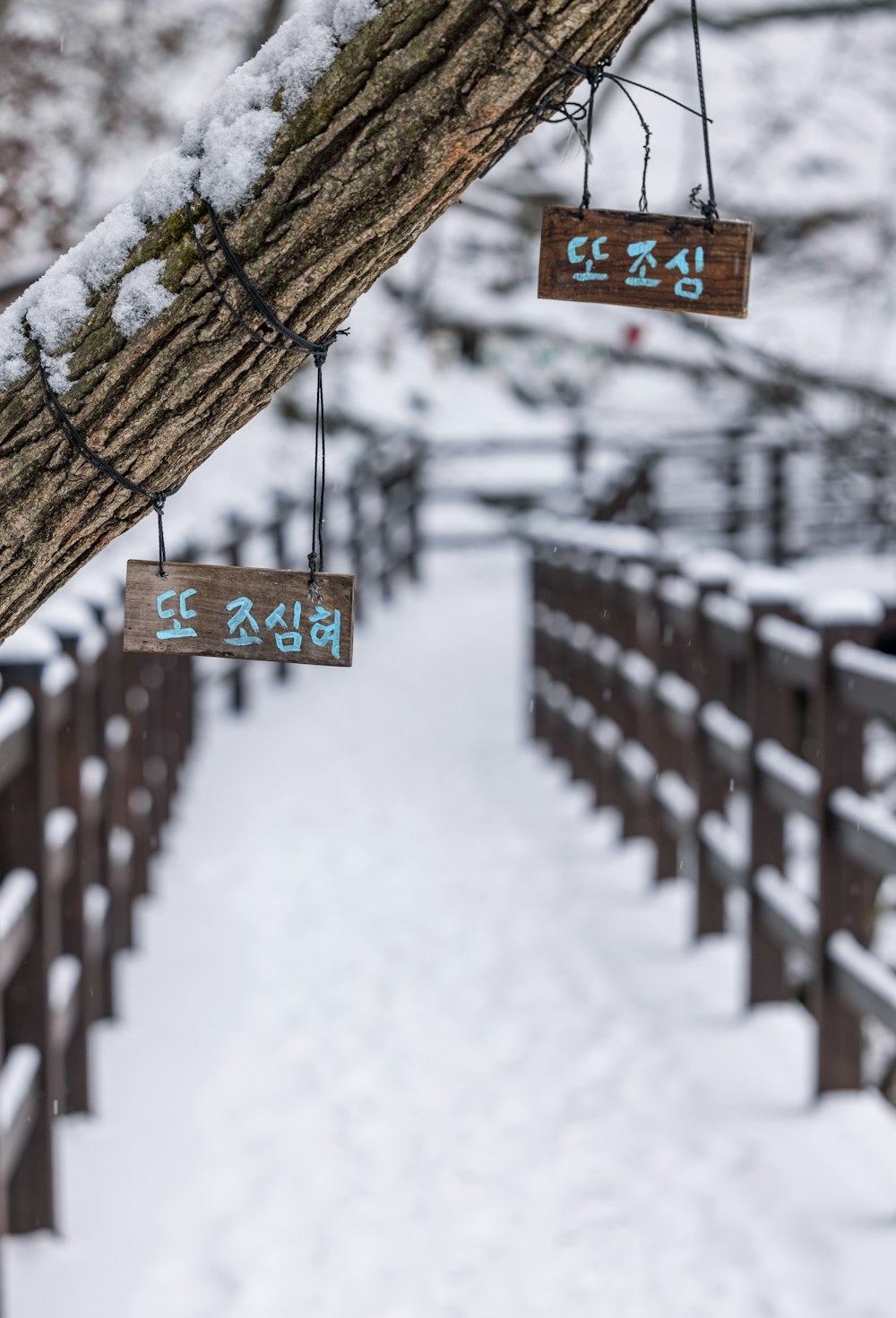 a snowy path with wooden benches and signs hanging from it