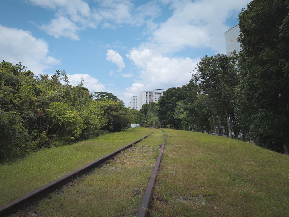 a train track running through a lush green forest