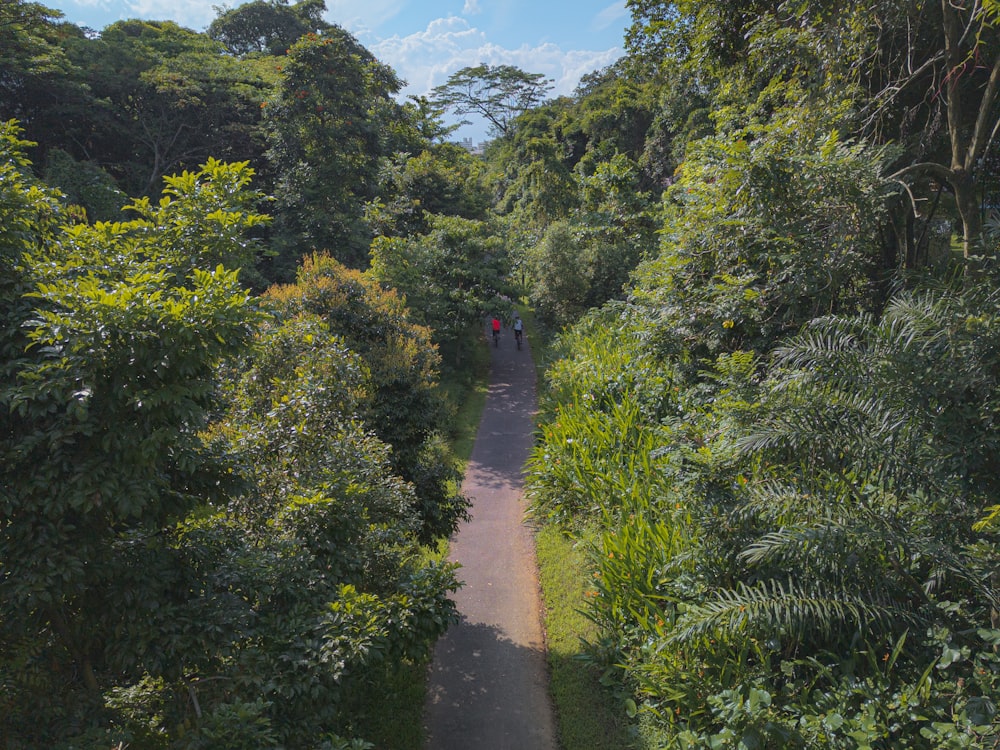 two people walking down a path in the middle of a forest