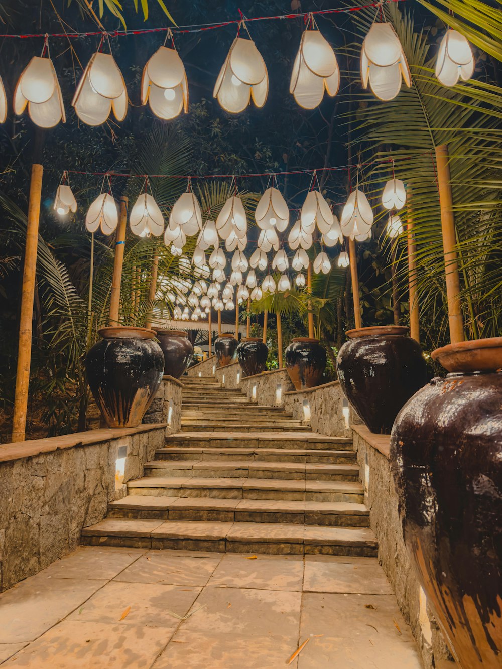 a bunch of lights that are on some steps