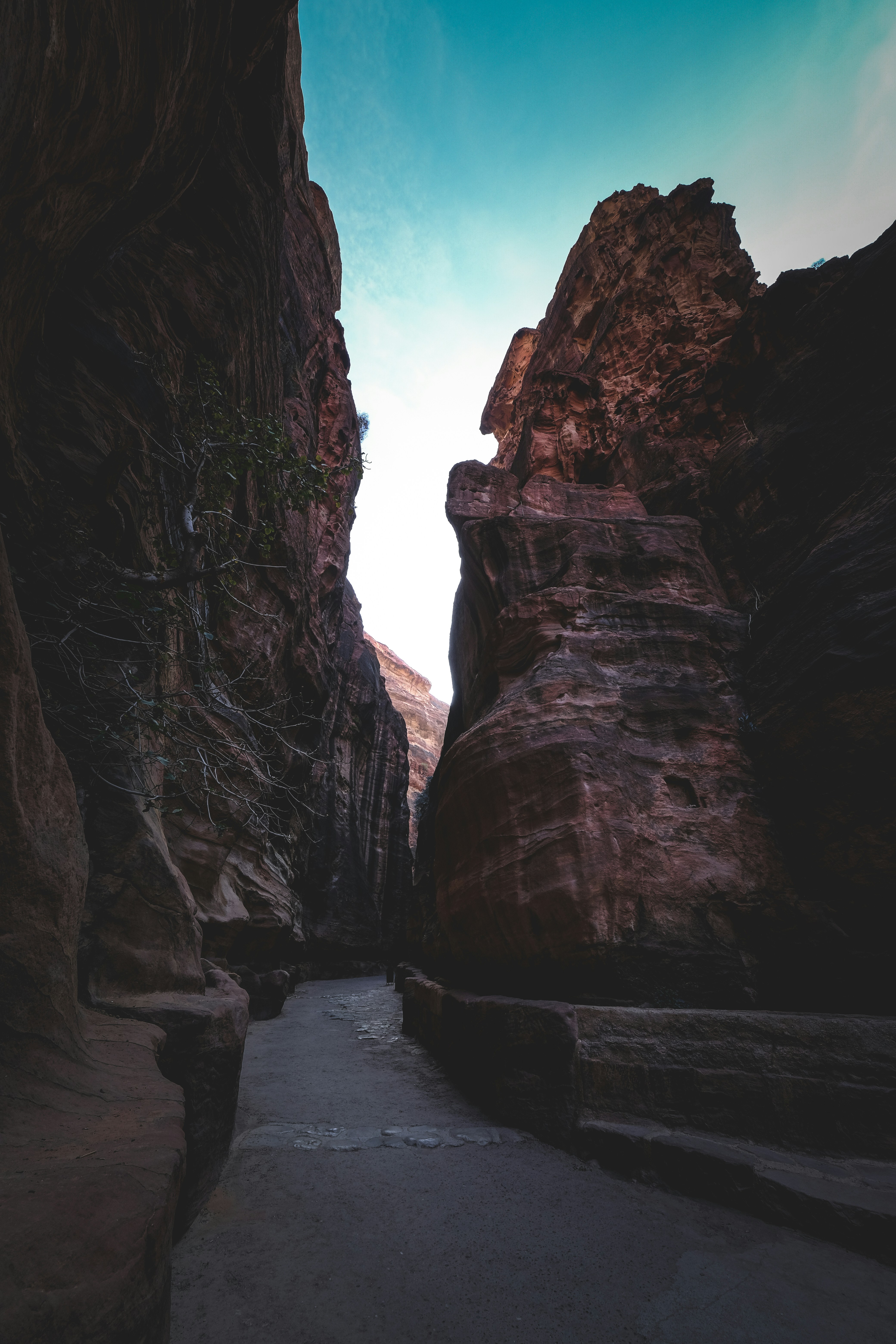 Photo by francesco_ungaro