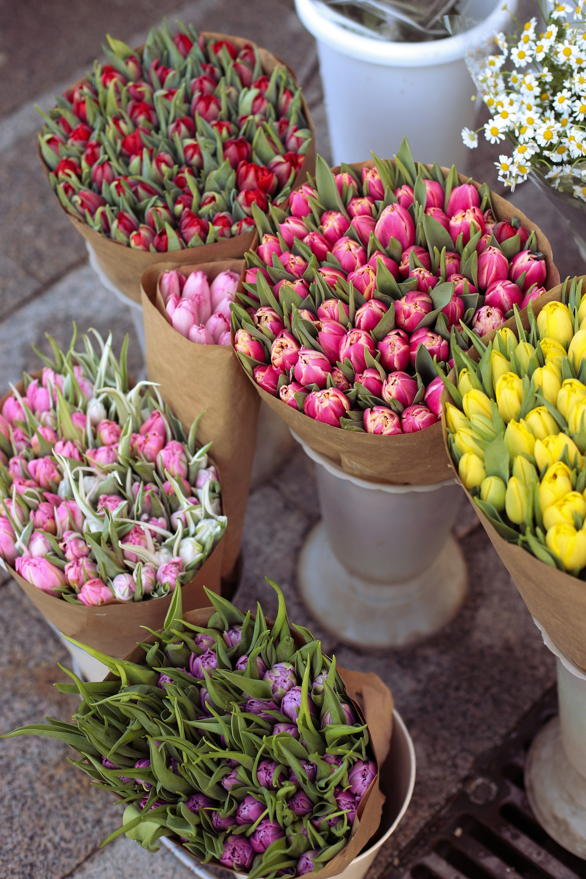 woman wearing yellow long-sleeved dress under white clouds and blue sky during daytime