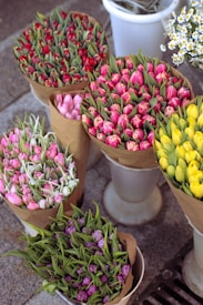 Several bouquets of tulips are arranged neatly in brown paper wrappers, each displaying different vibrant colors including red, pink, yellow, and purple. The bouquets are placed in white cylindrical containers on a pavement, alongside a small bunch of white daisies.