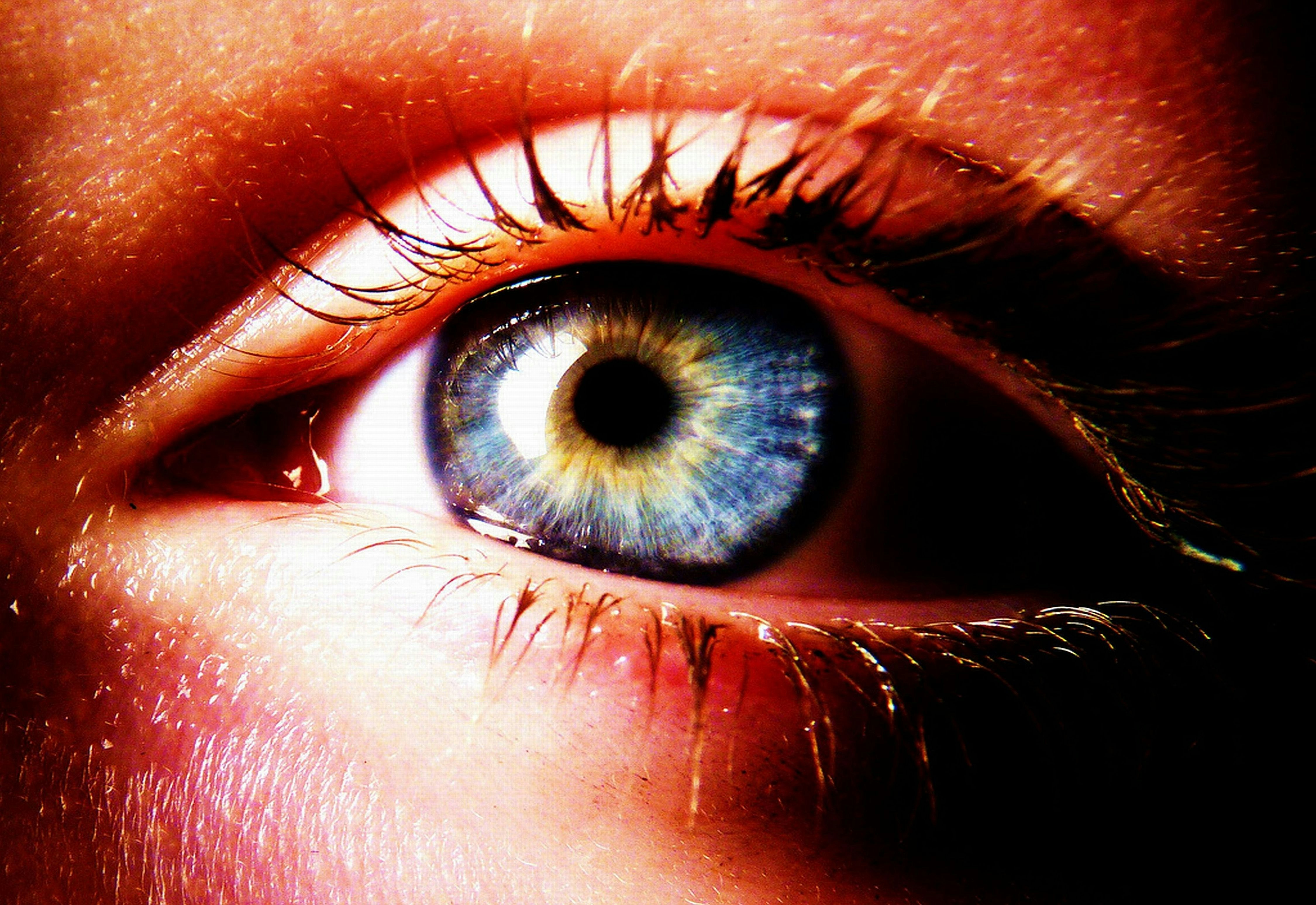 a close up of a person's blue eye