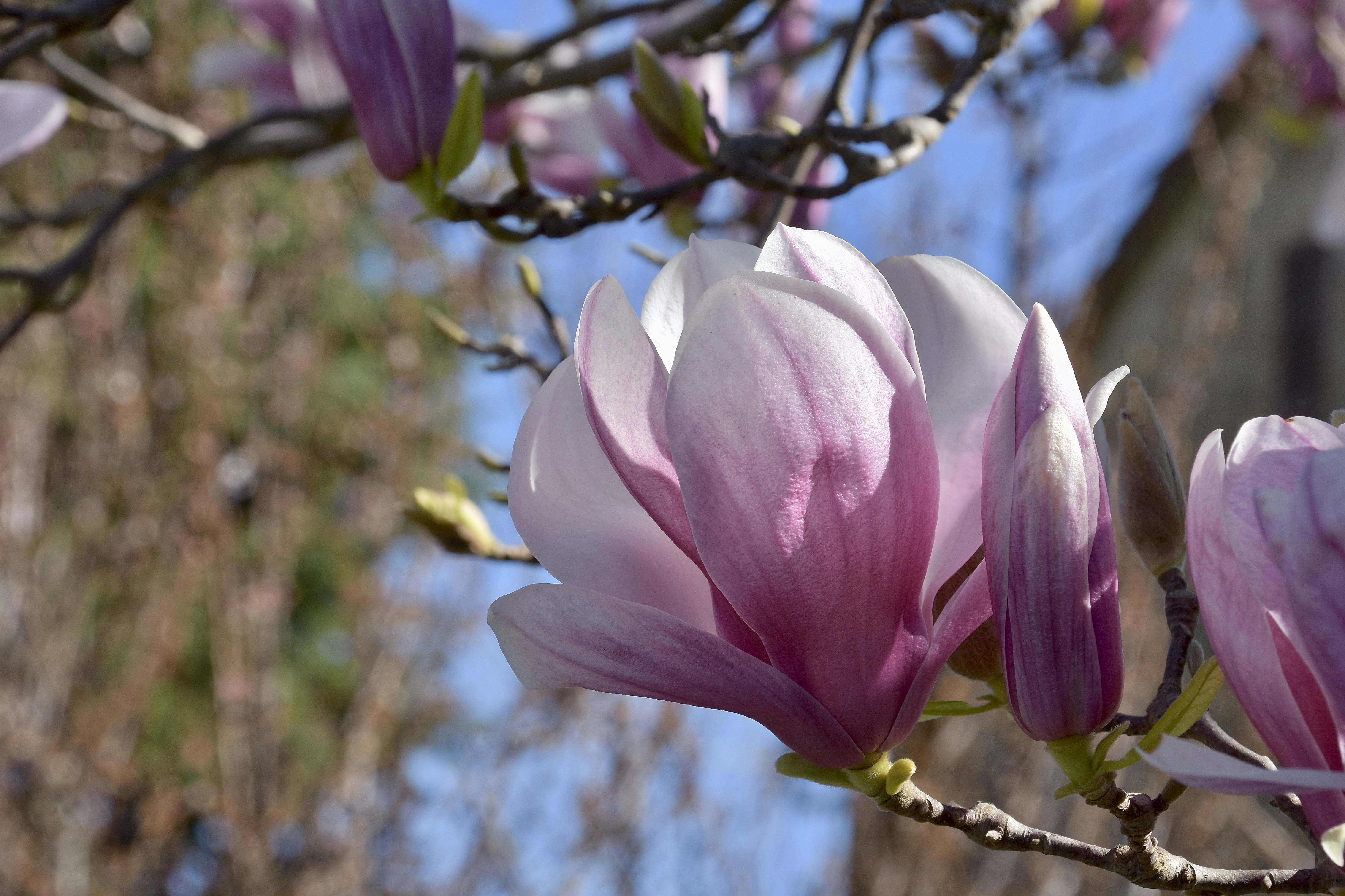 Photo by mariobeducci