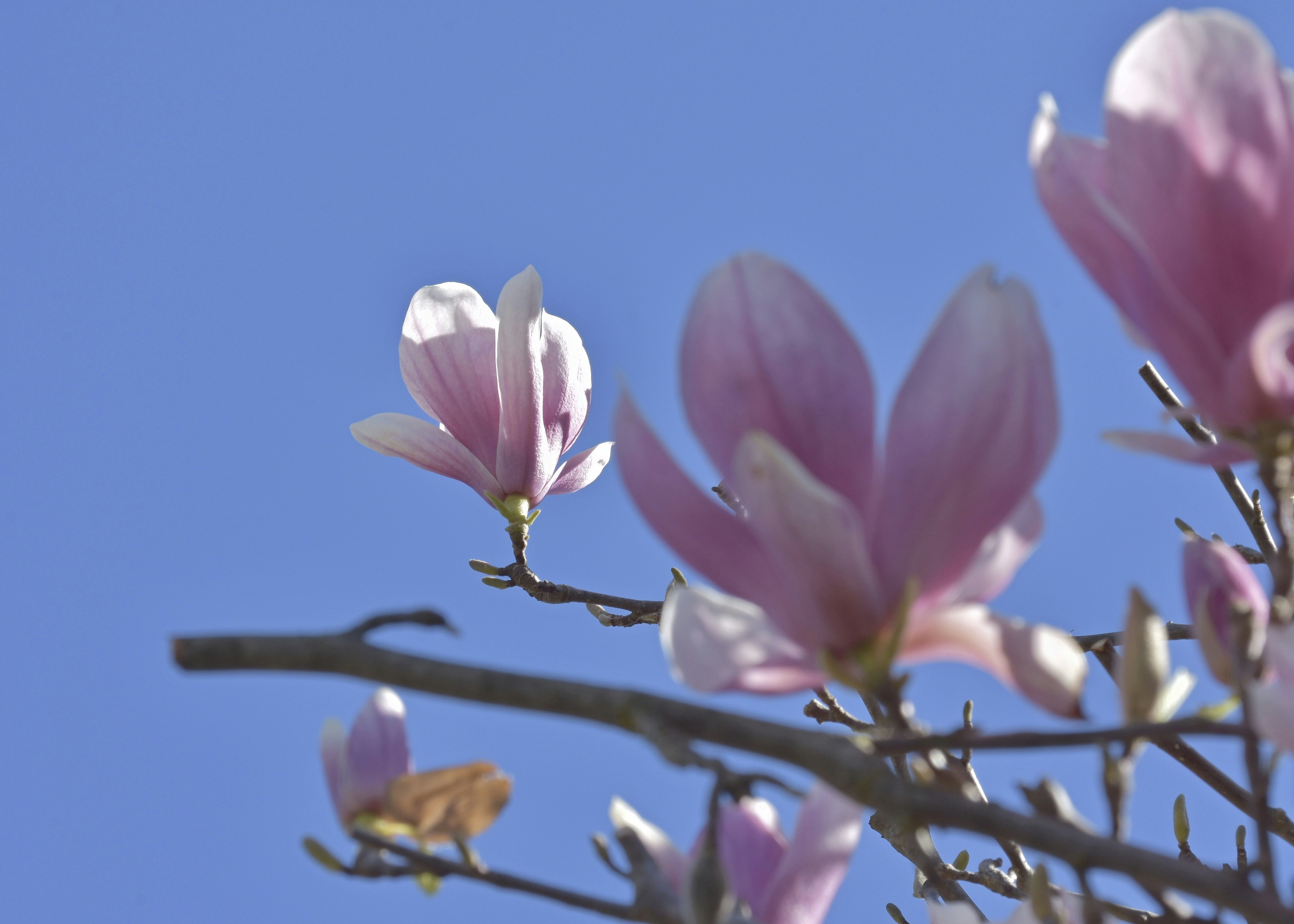 Photo by mariobeducci