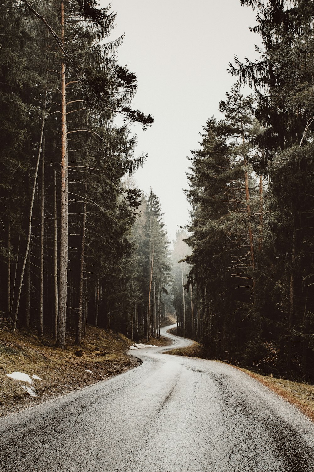 an empty road in the middle of a forest