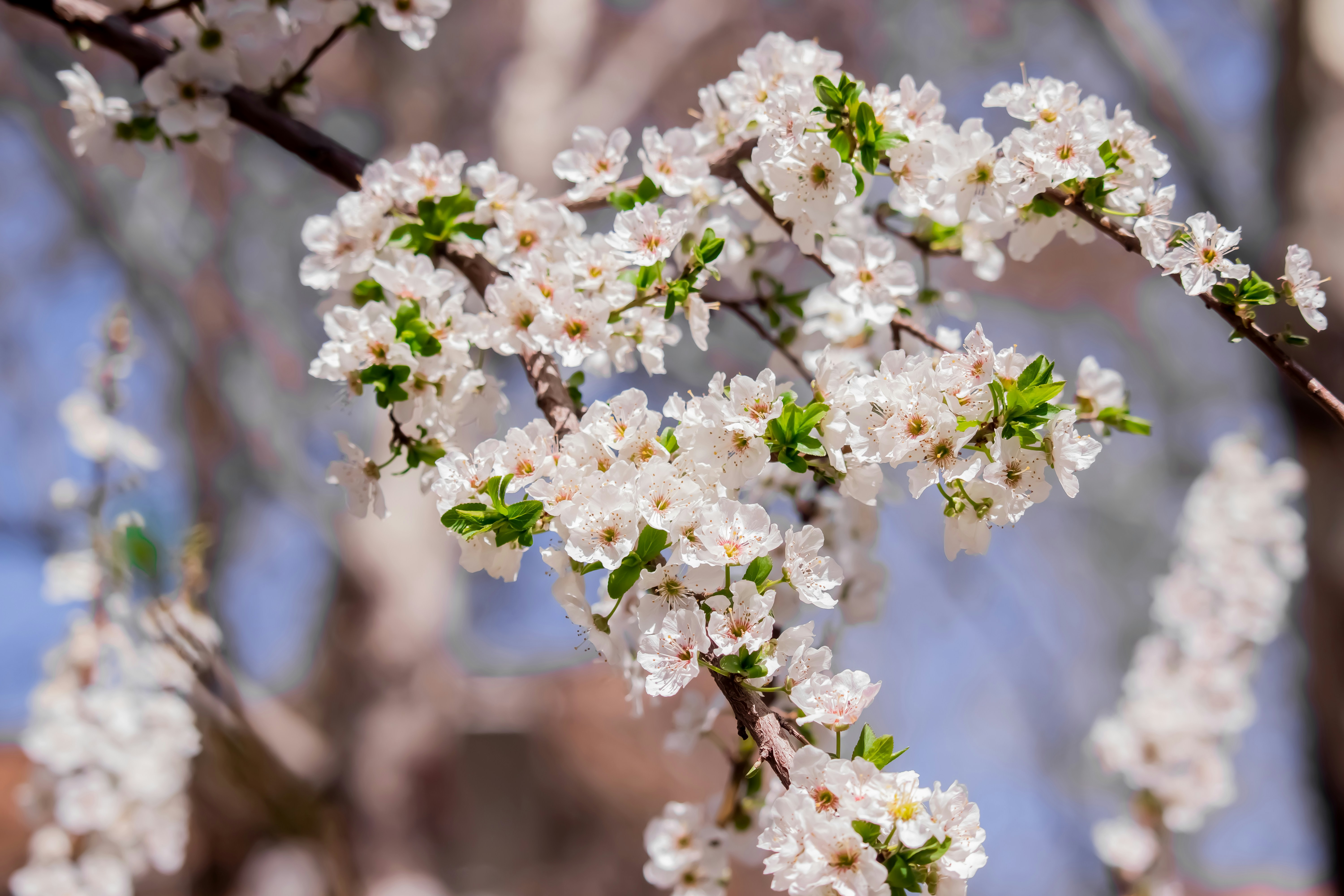 Photo by sinabahar76