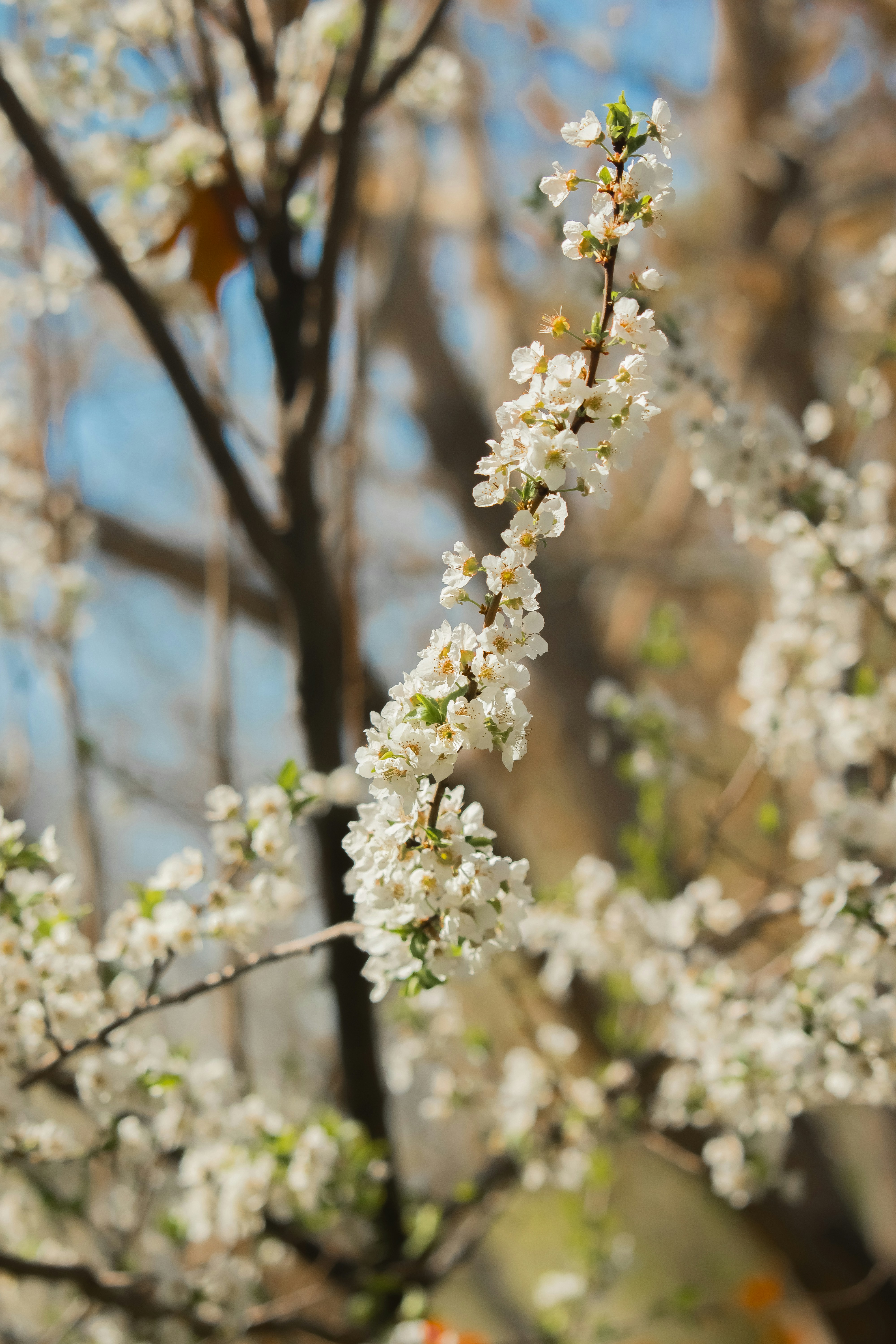 Photo by sinabahar76