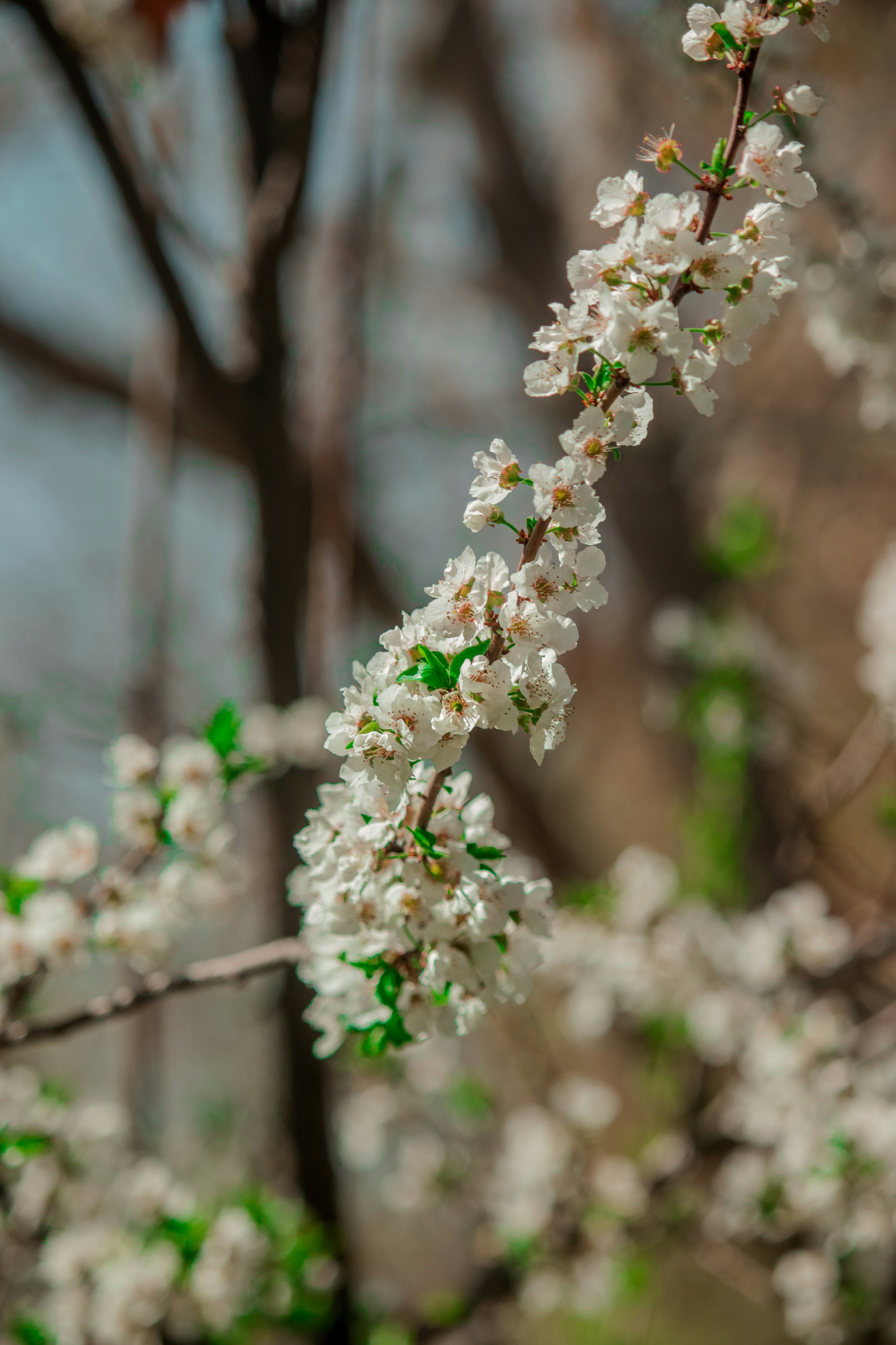 Photo by sinabahar76