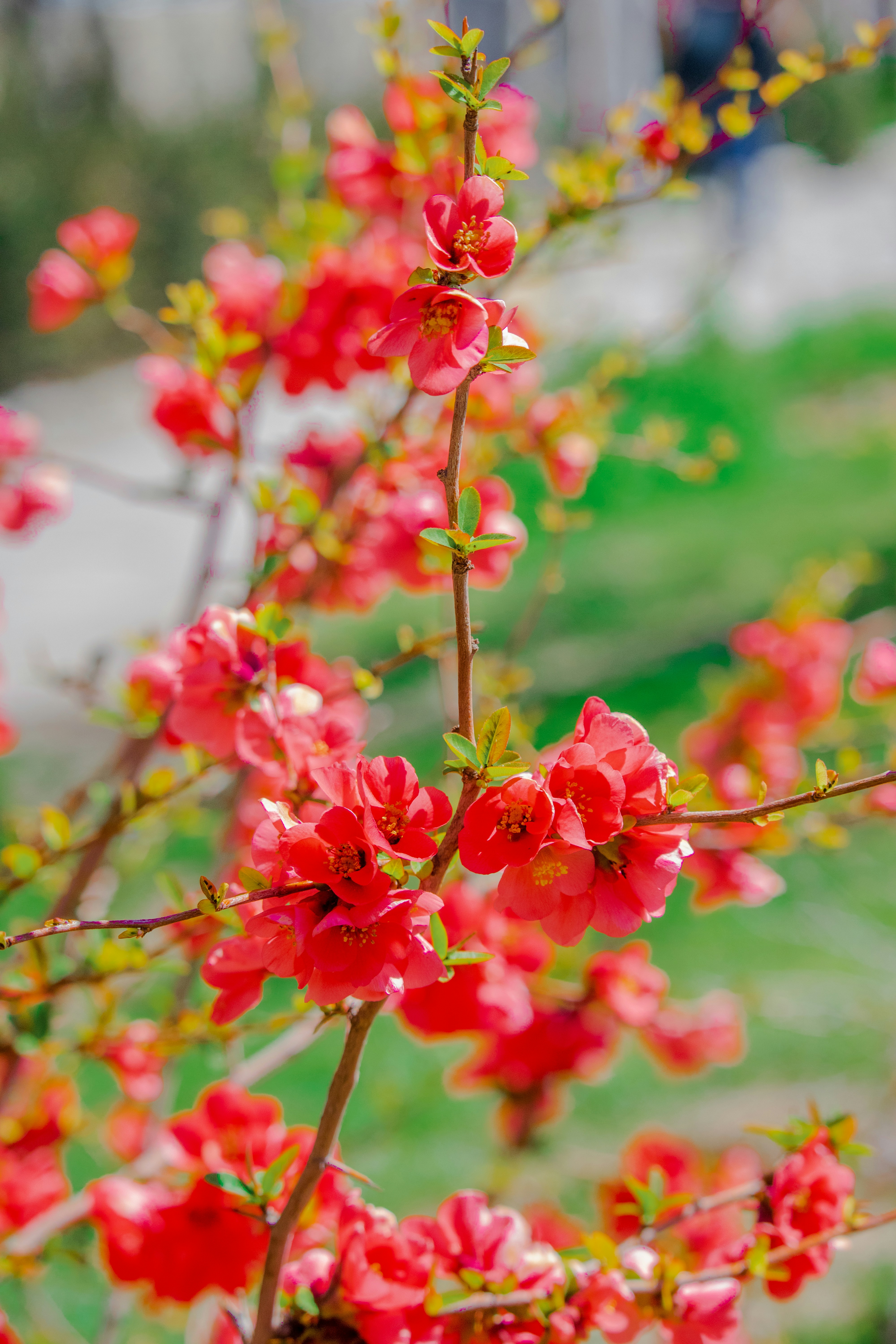 Photo by sinabahar76