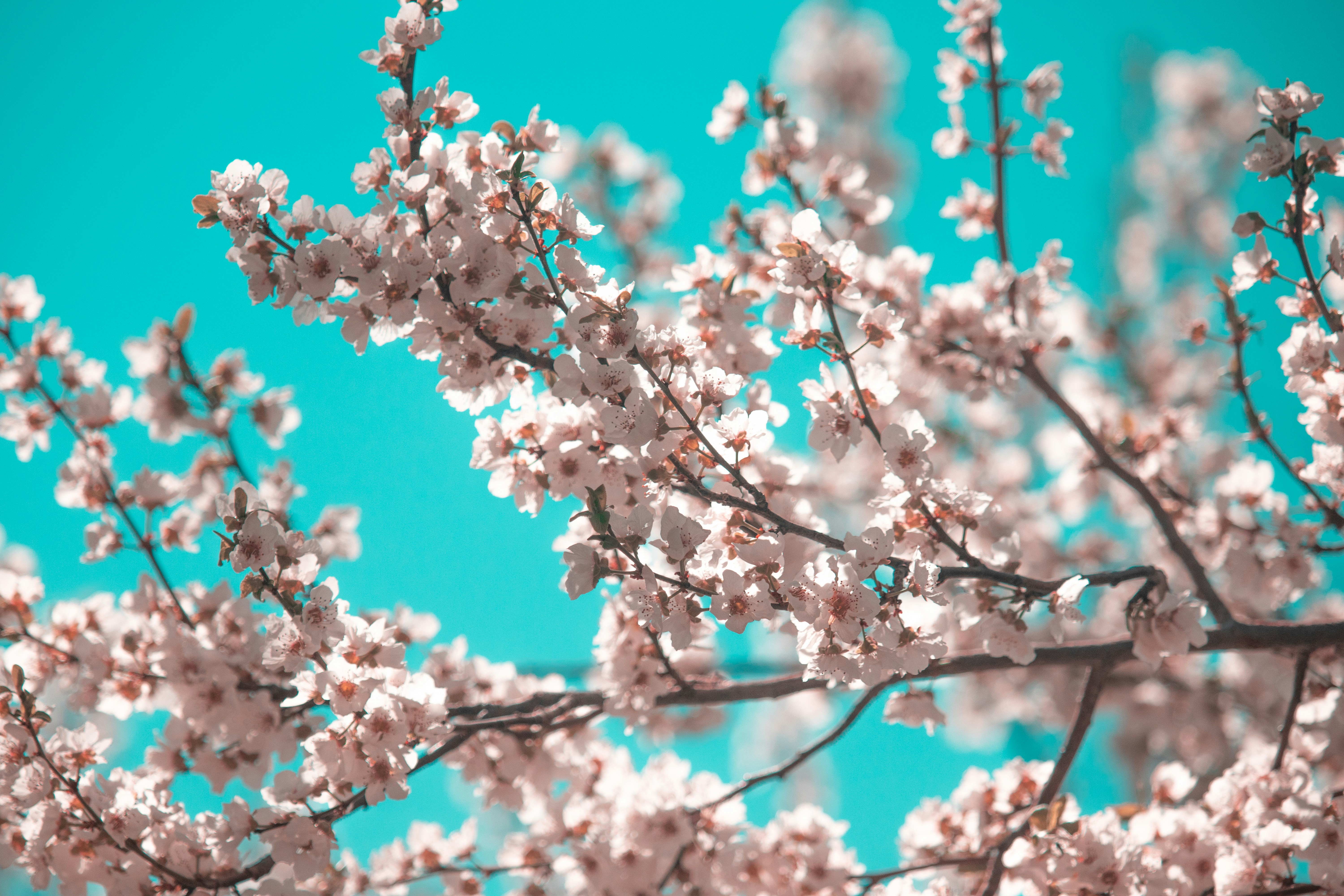 Photo by sinabahar76