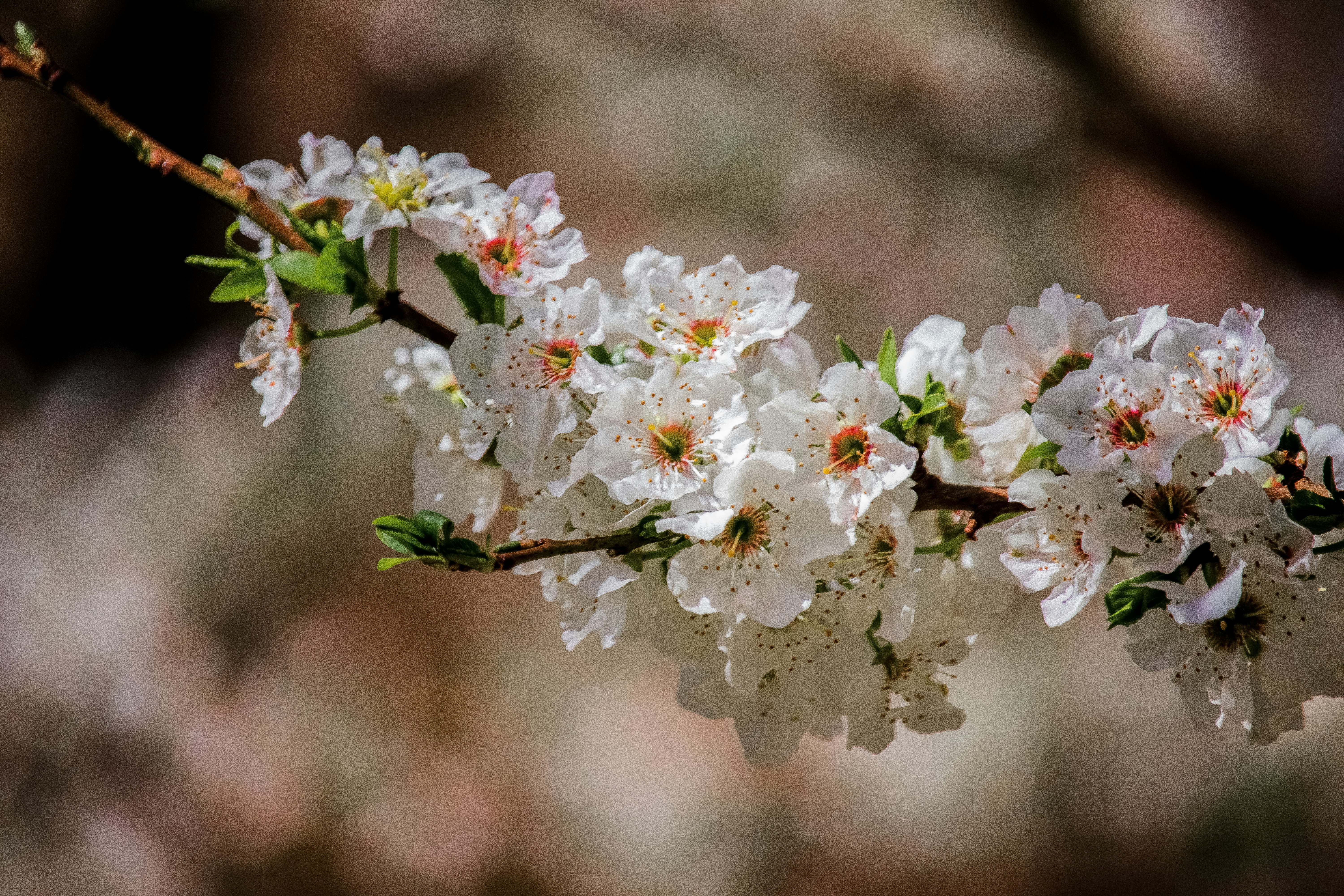 Photo by sinabahar76