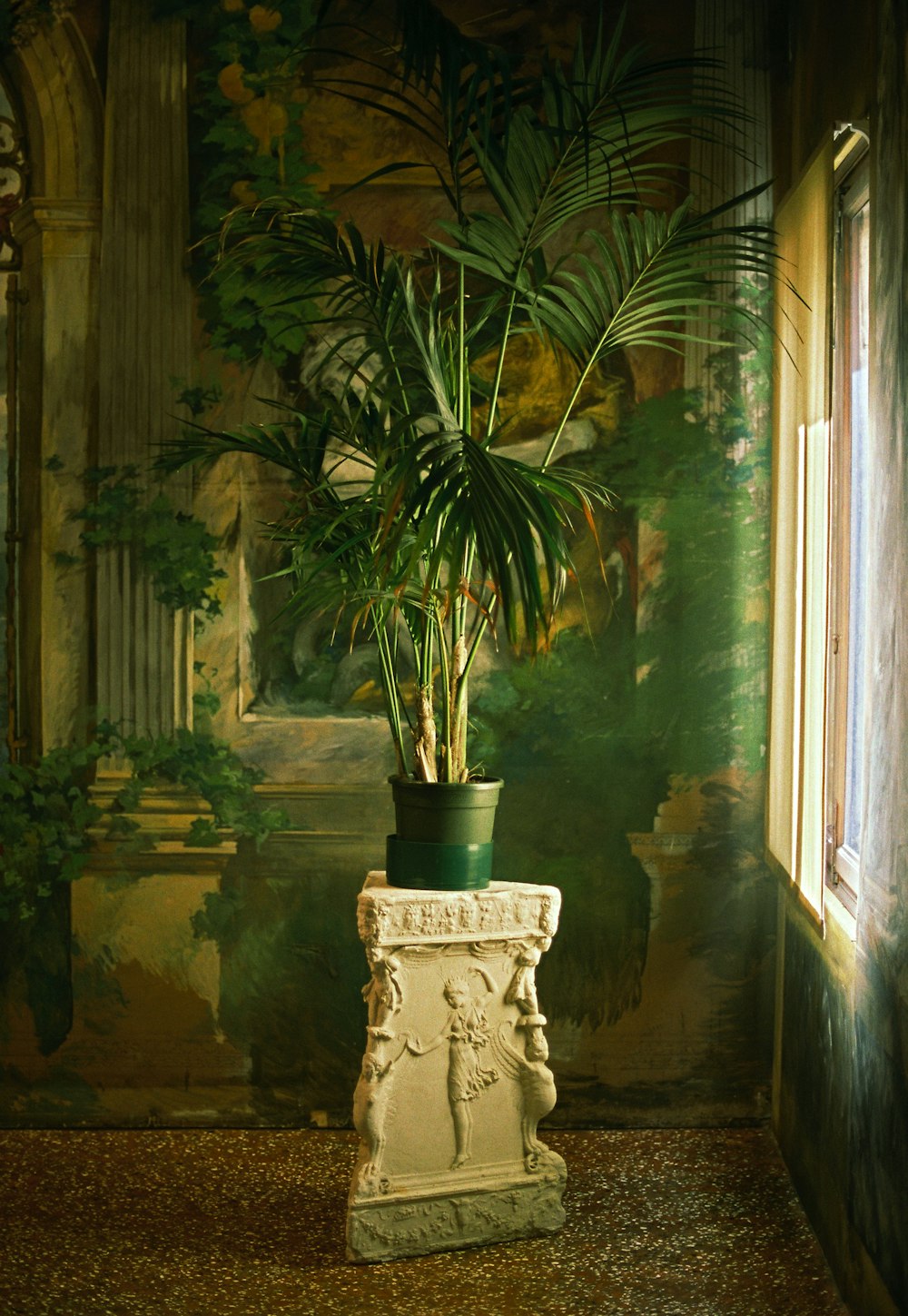 a potted plant sitting on top of a white pedestal