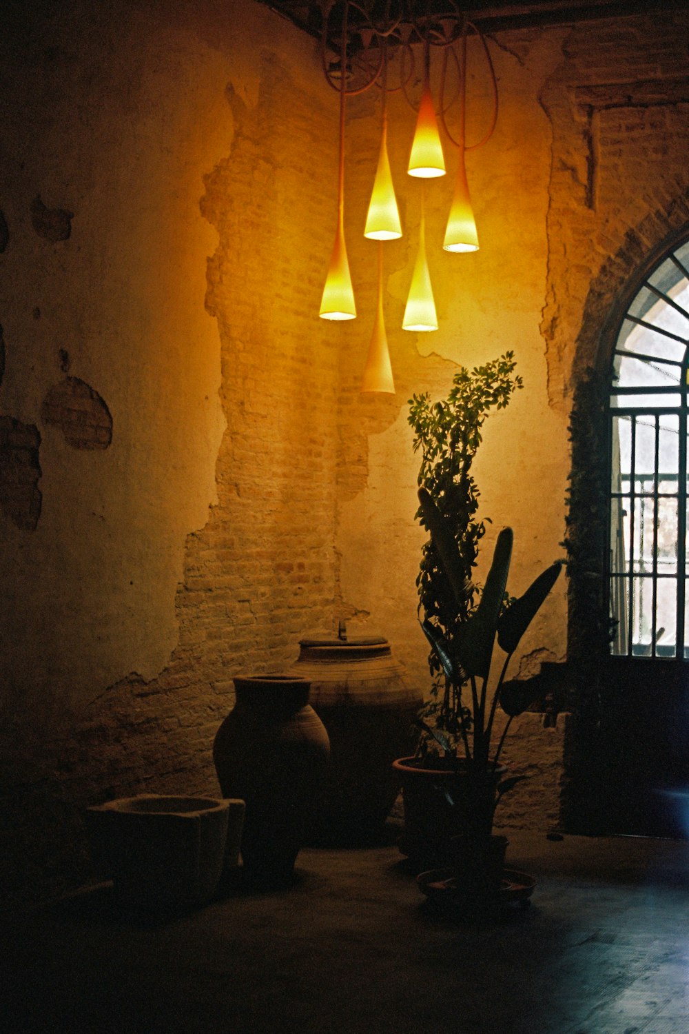 a dimly lit room with a potted plant next to a window