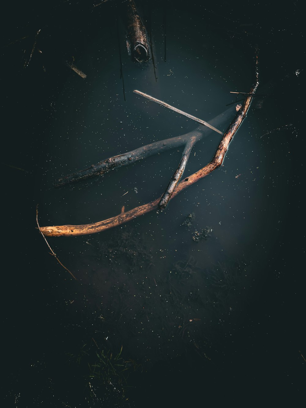 un pezzo di legno rotto seduto sopra uno specchio d'acqua