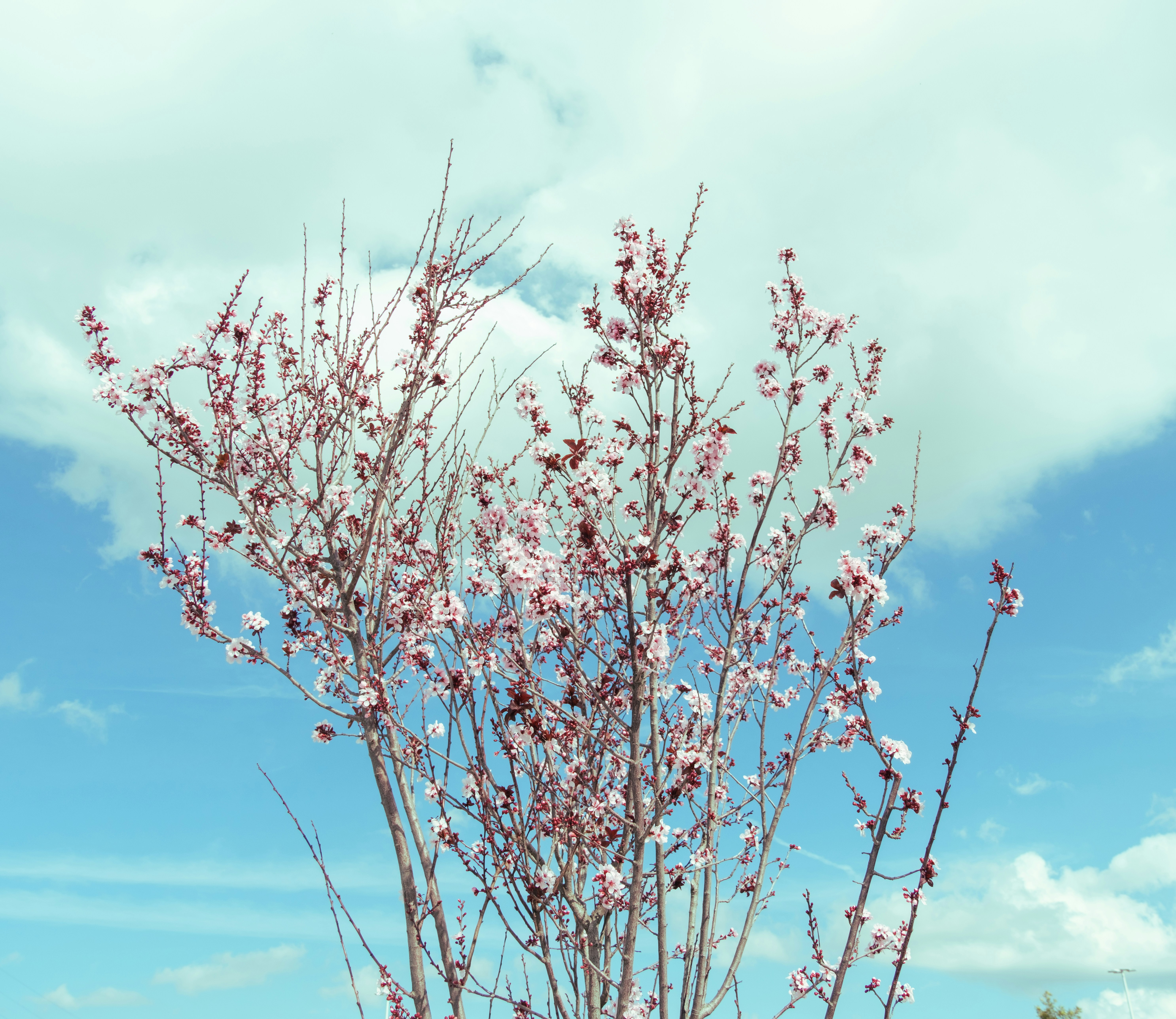 Photo by april_vasquez