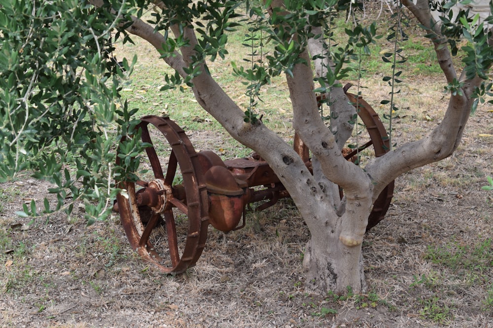 an old rusted plow sitting under a tree