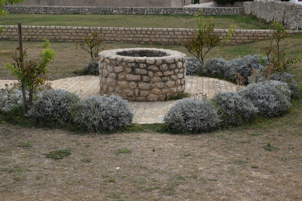 a stone fire pit surrounded by plants and shrubs