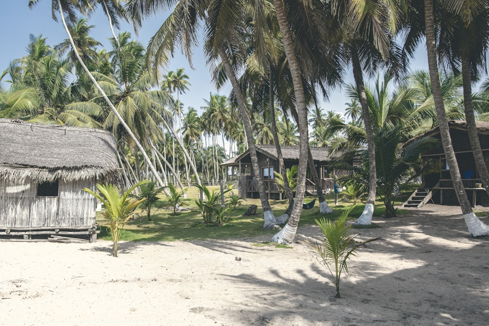 a hut on a beach with palm trees