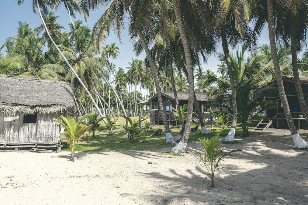 Cases en bois et en paille sous les cocotiers, sur une plage de sable, image d’illustration du littoral où se tiennent les Vodun Days