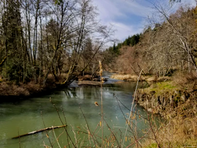 A serene river flowing gently under soft morning light, symbolizing spiritual journey and renewal.