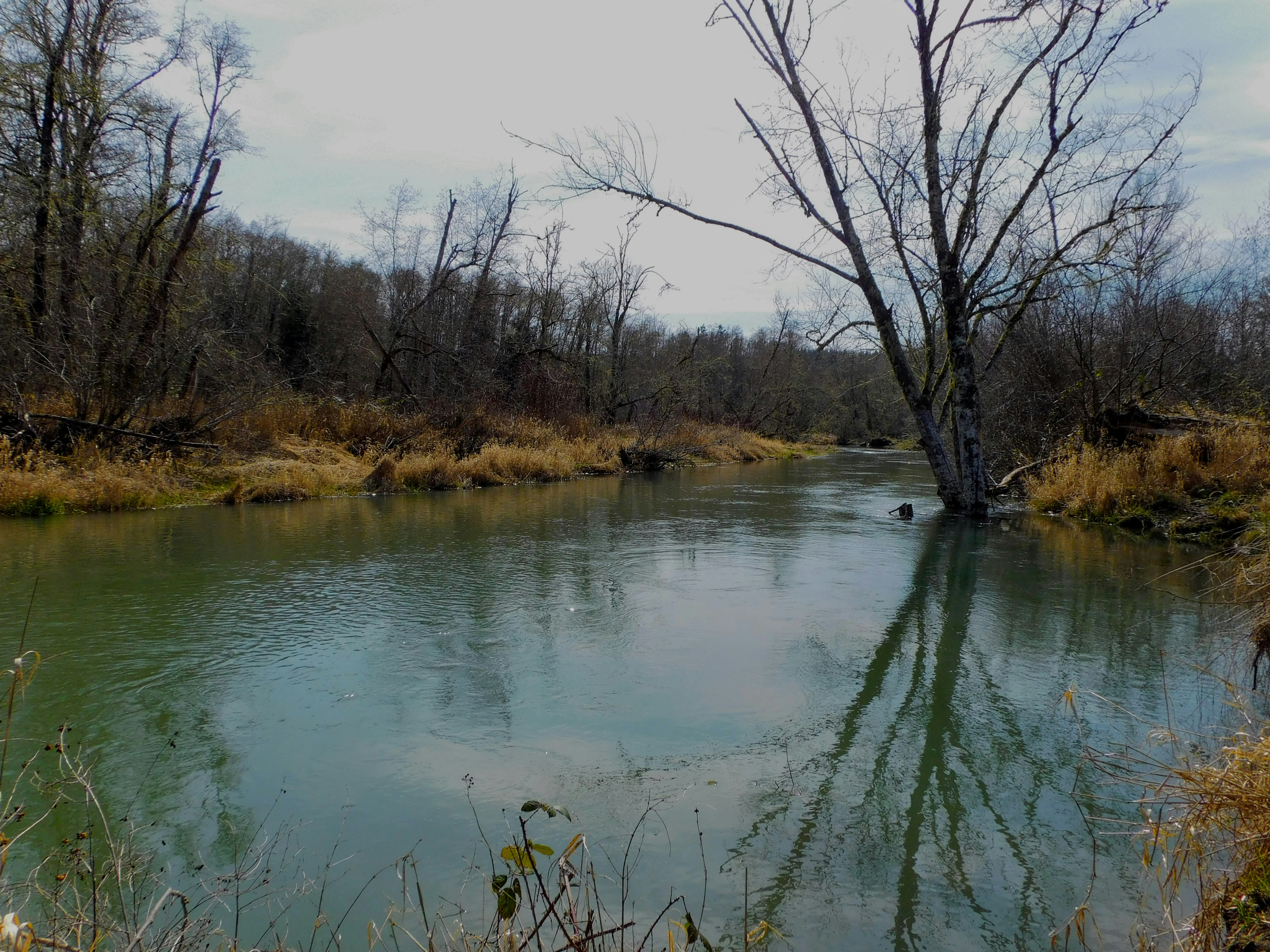 Photo by prphotography262