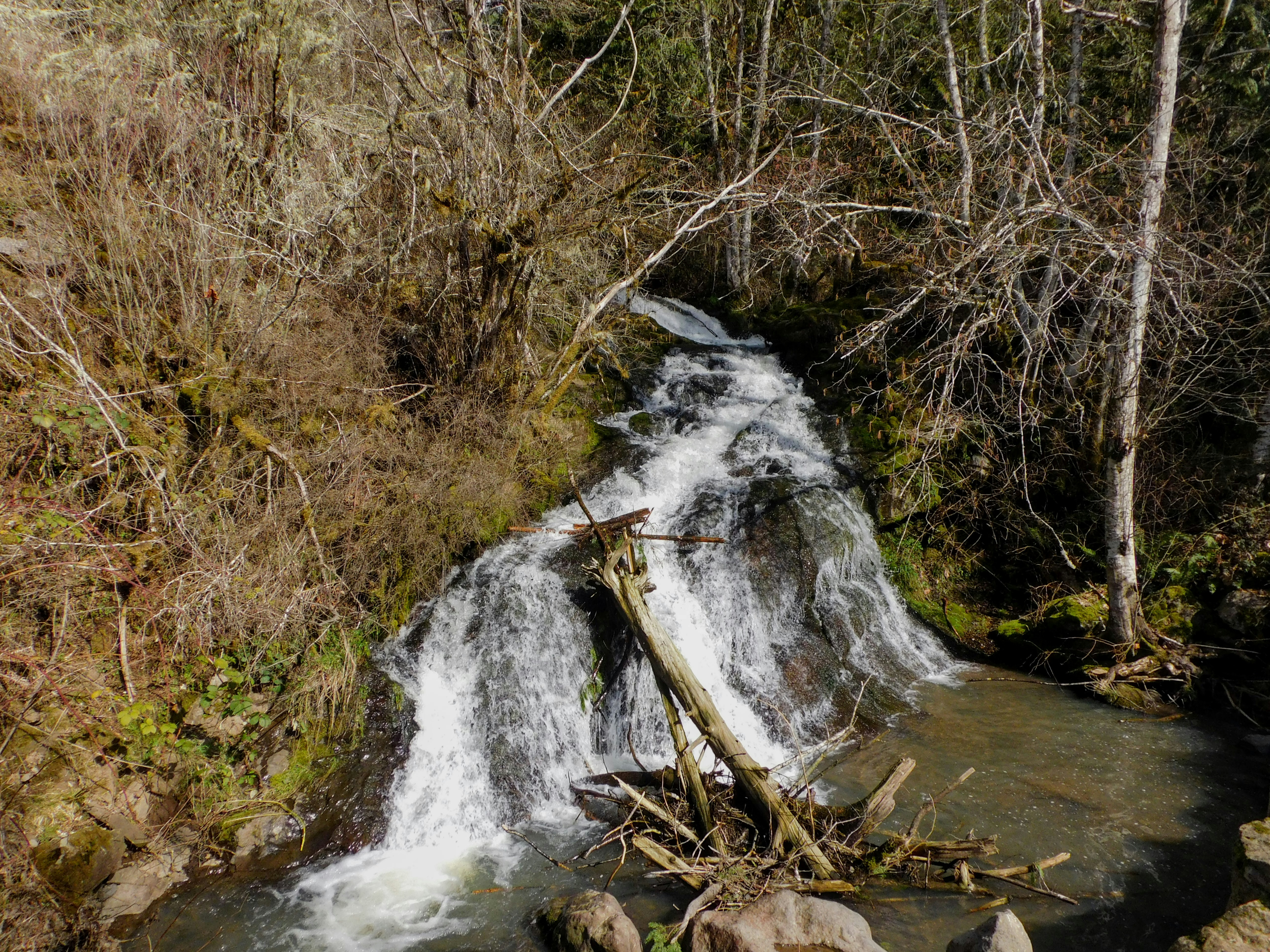 Photo by prphotography262