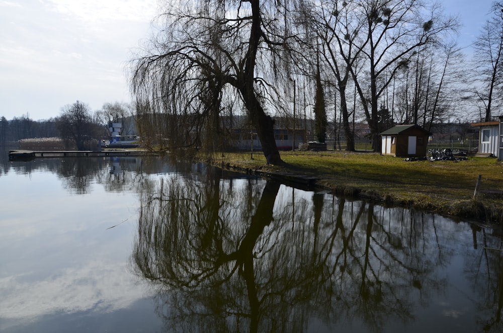 a body of water surrounded by trees and houses