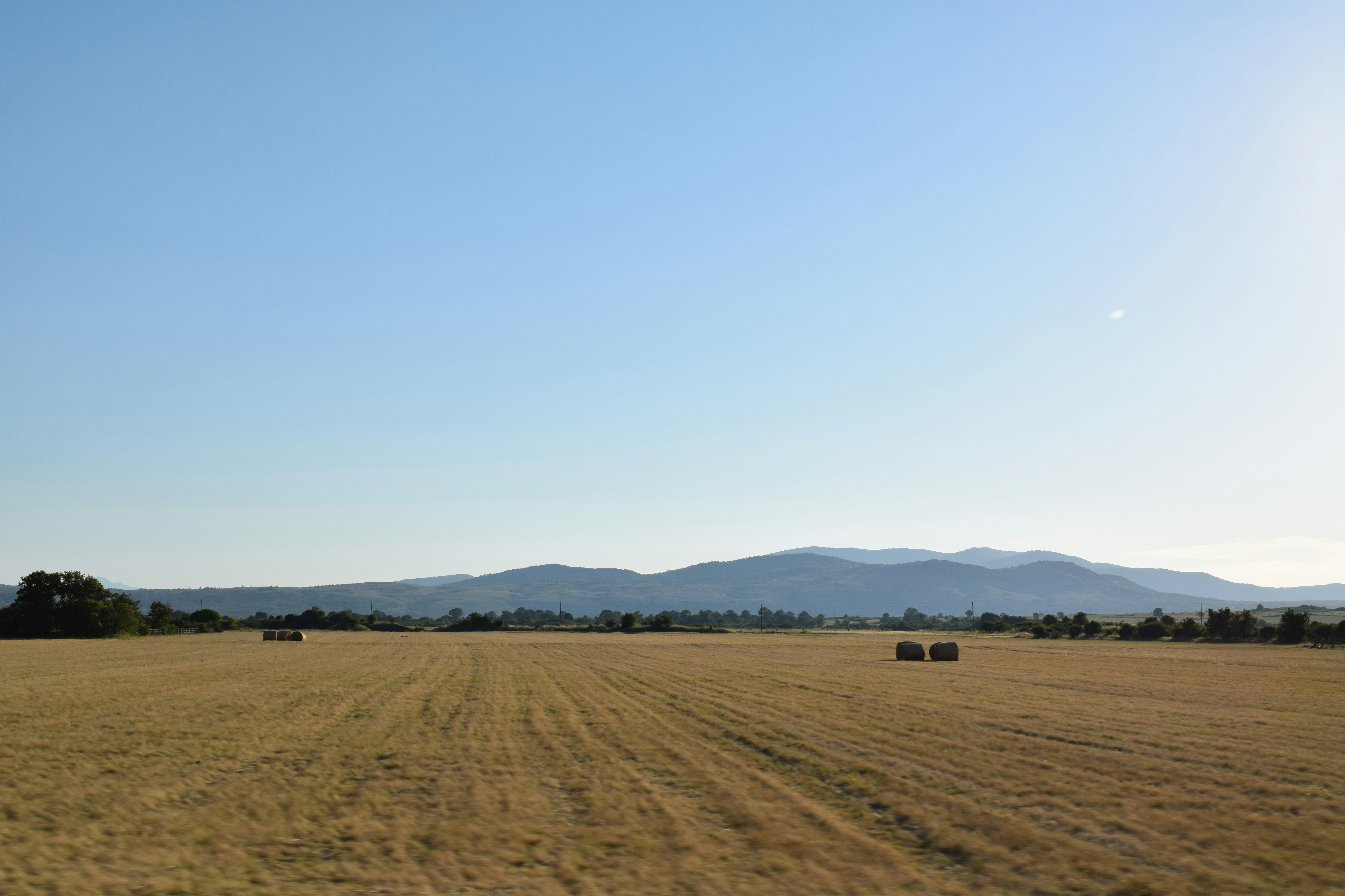 a field of hay with mountains in the background