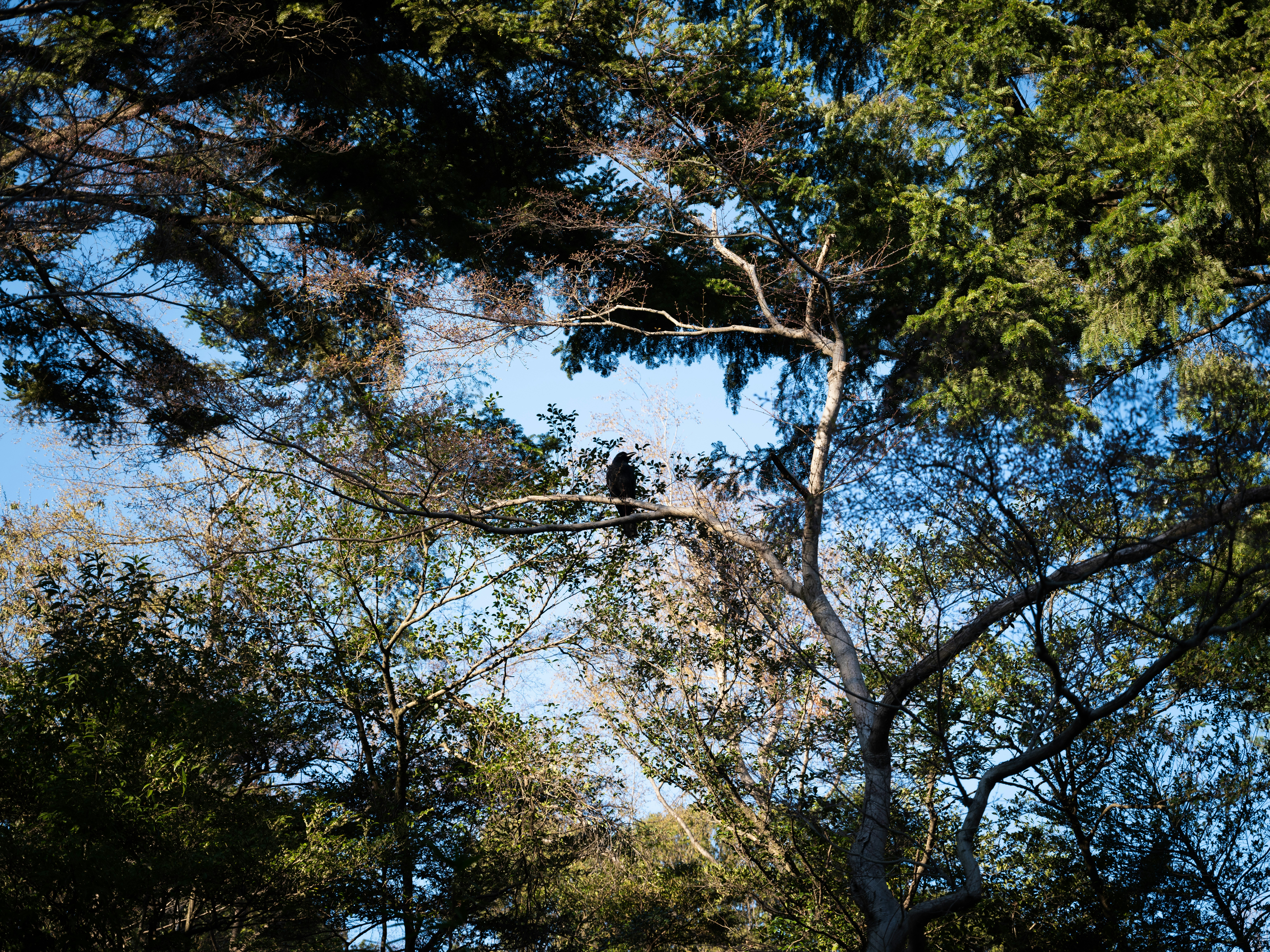 Photo by ueruko