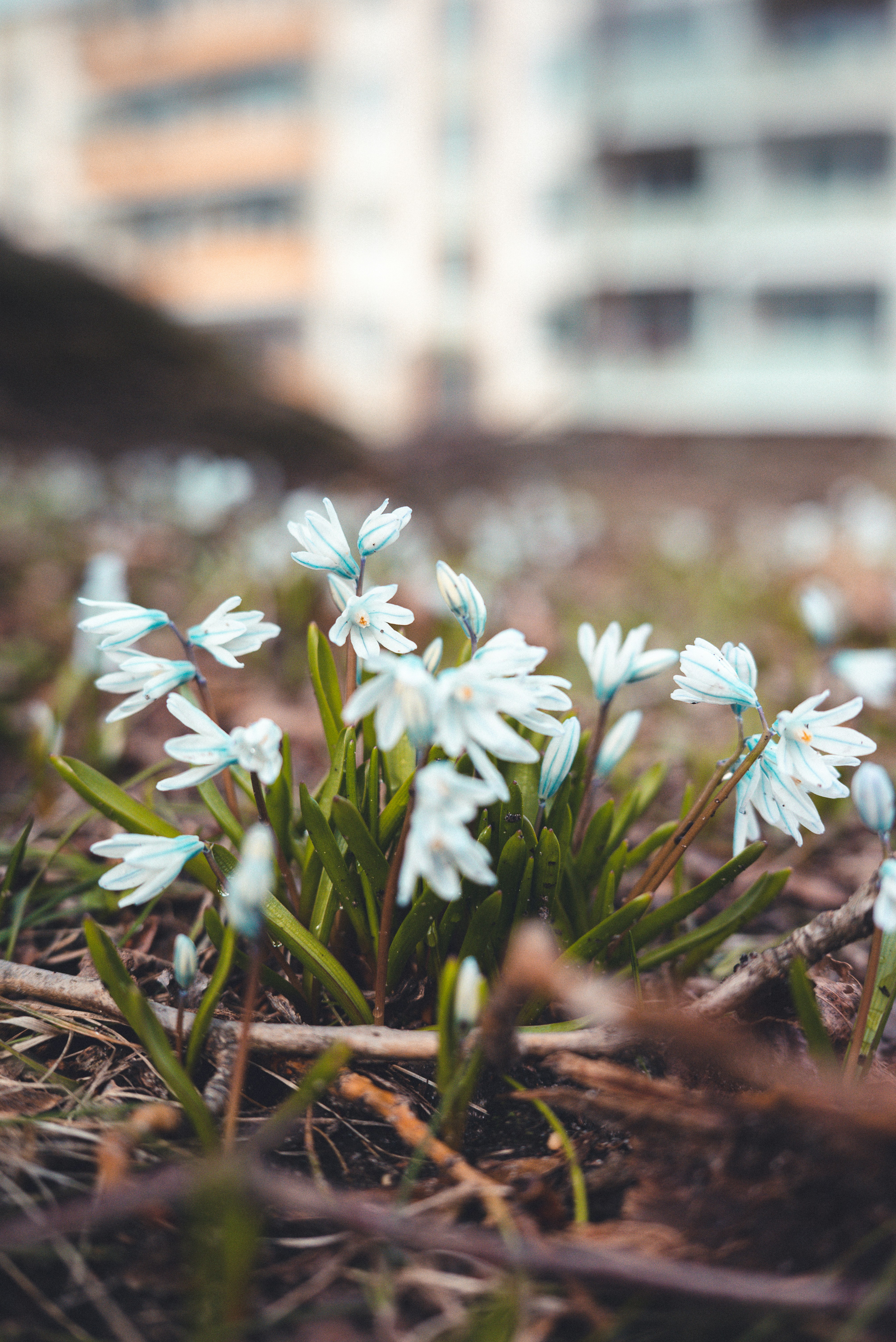 Photo by jetztabertempo