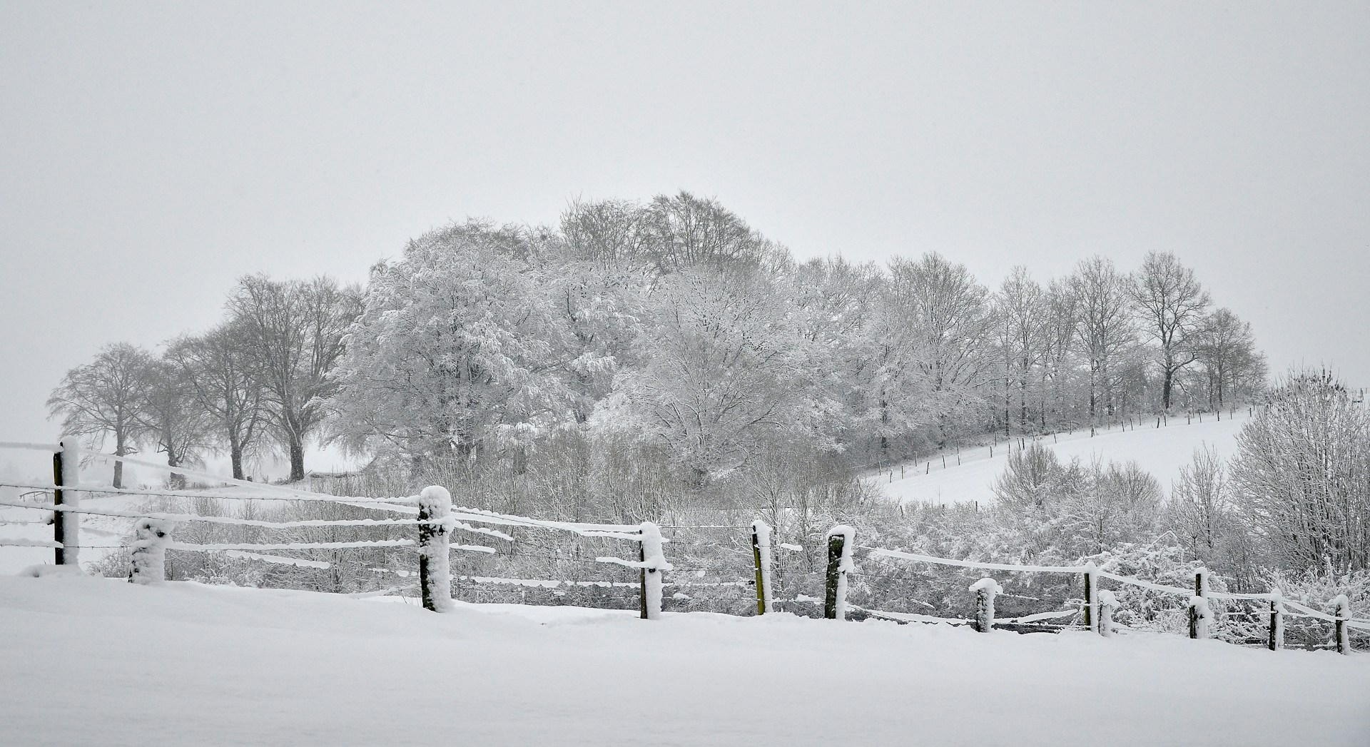 a snow covered field with a fence and trees