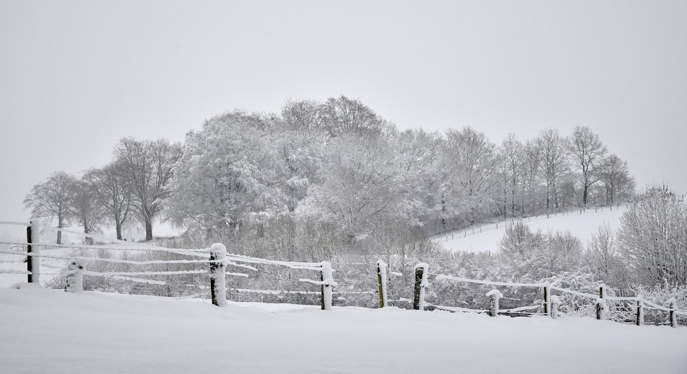 a snow covered field with a fence and trees