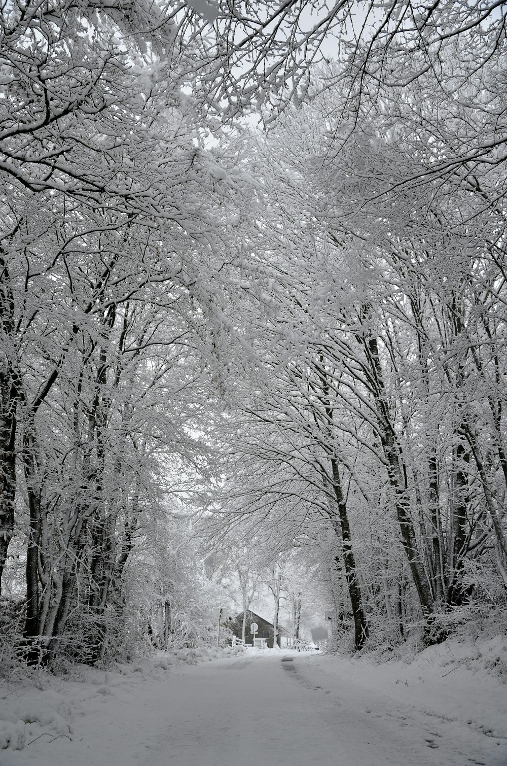 a snow covered road with trees and a house in the distance