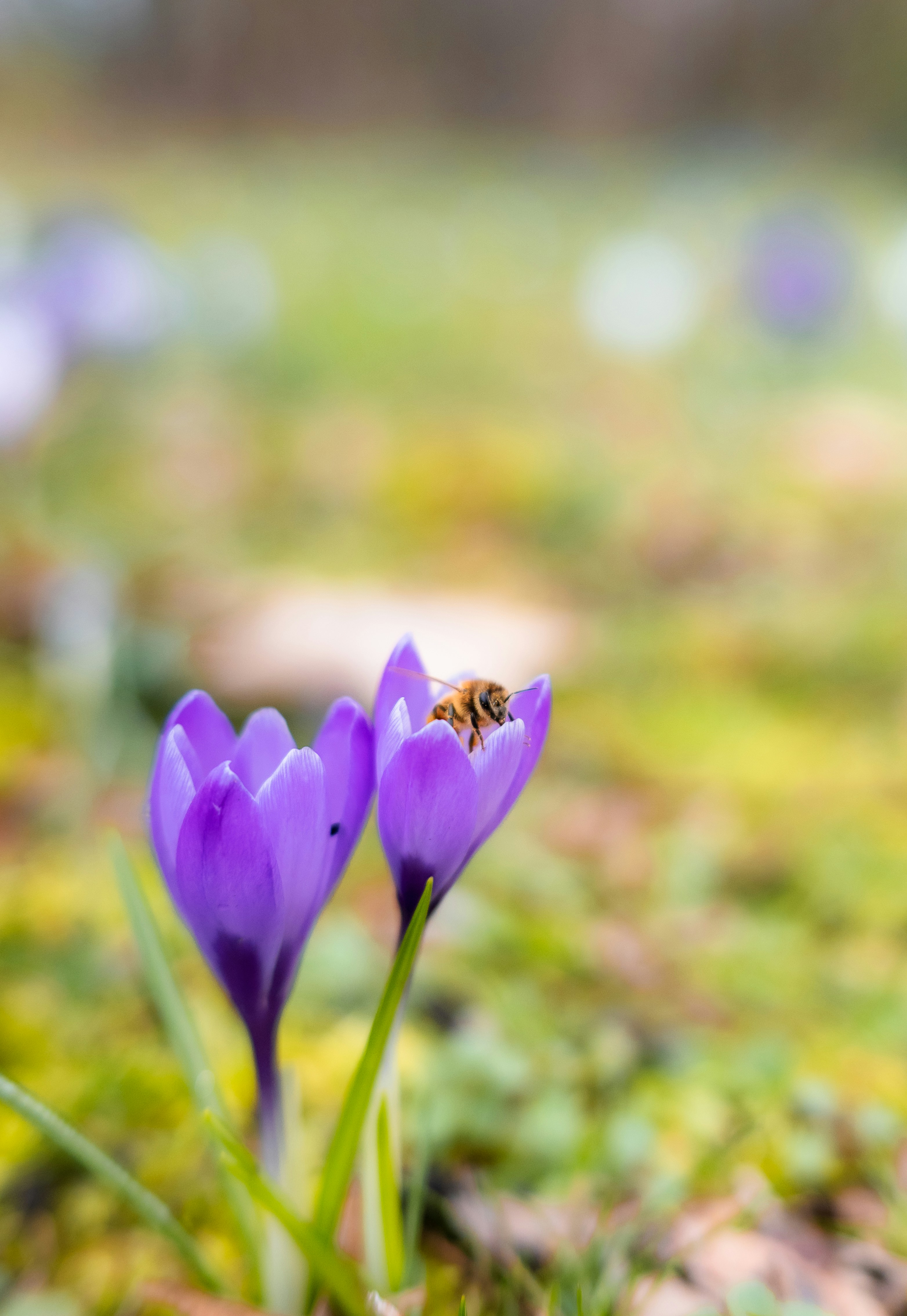 Photo by jetztabertempo