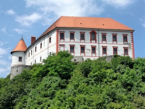 Castle Entry Ticket