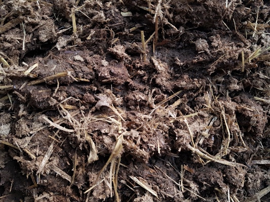A dense and fibrous mix of straw and manure. The texture appears coarse and organic, with straw strands interspersed among darker clumps of manure.