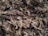 A dense and fibrous mix of straw and manure. The texture appears coarse and organic, with straw strands interspersed among darker clumps of manure.