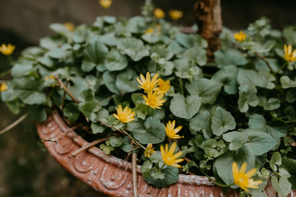 a pot filled with yellow flowers next to a tree