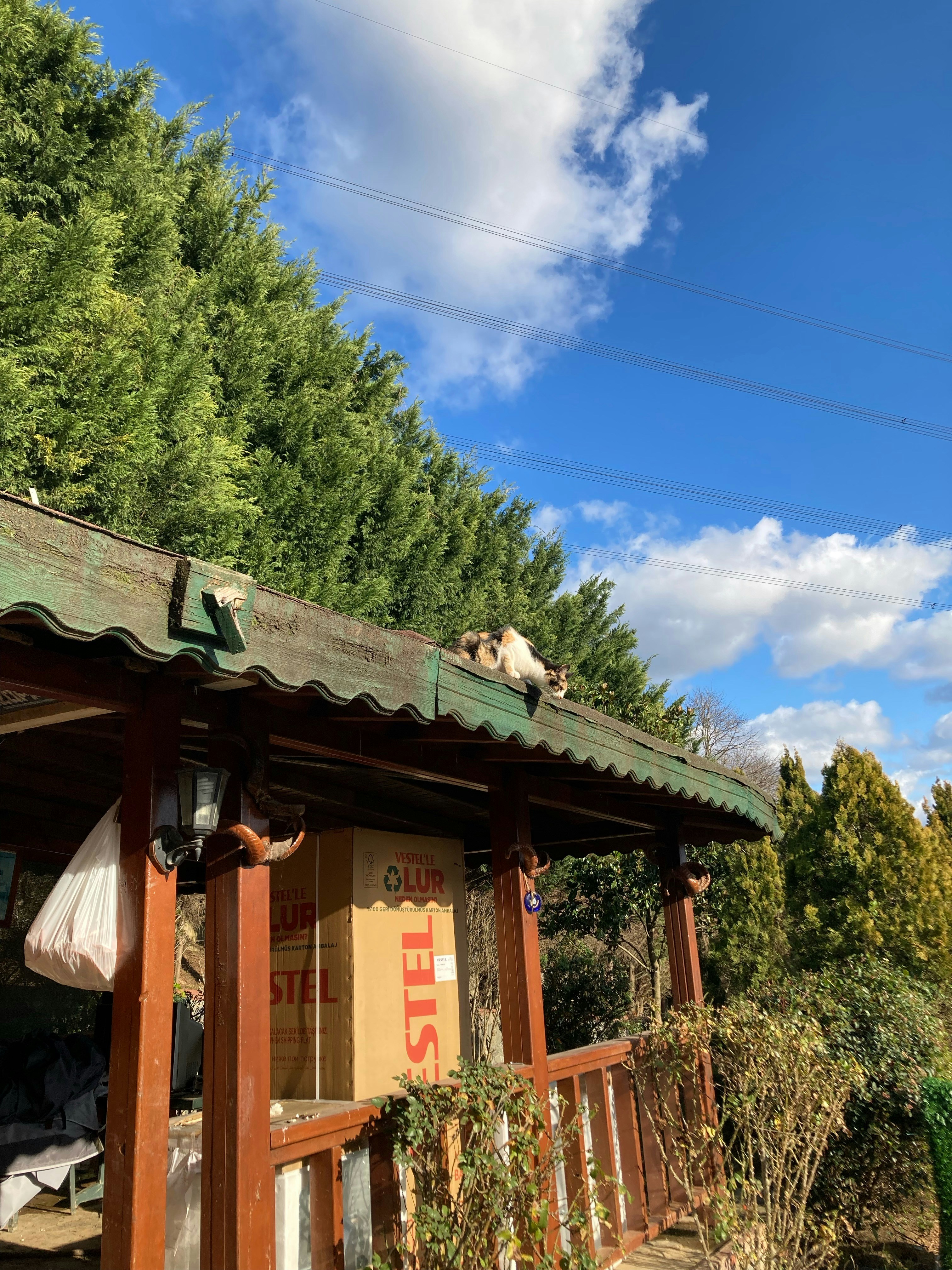 a cat is sleeping on top of a roof