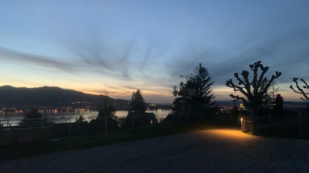 A serene landscape at dusk with soft, fading light illuminating a quiet forest path.