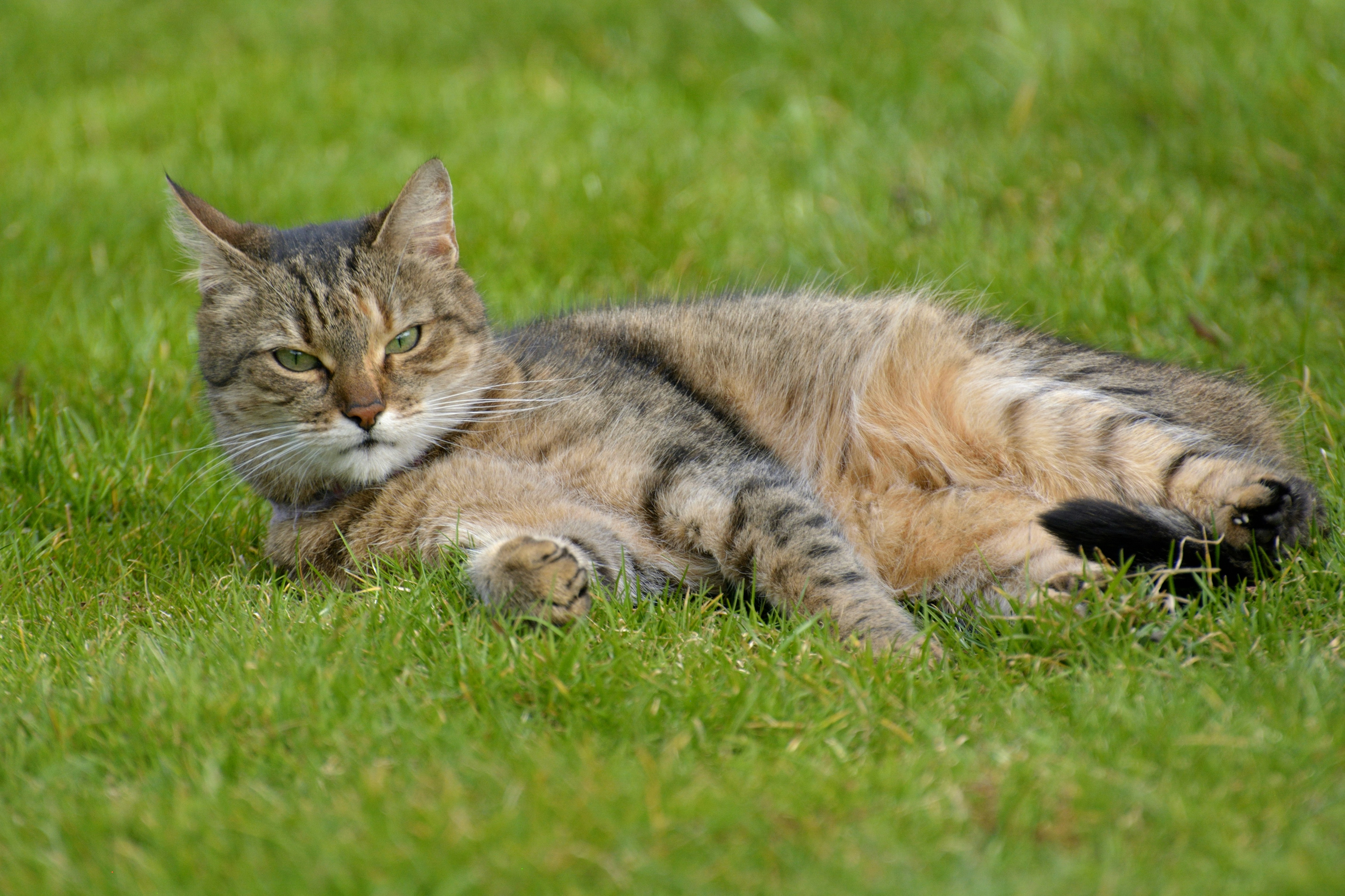 Photo by tom_z_marsu