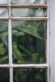 Close-up of a modern window with a sleek air vent installed, showing condensation-free glass.