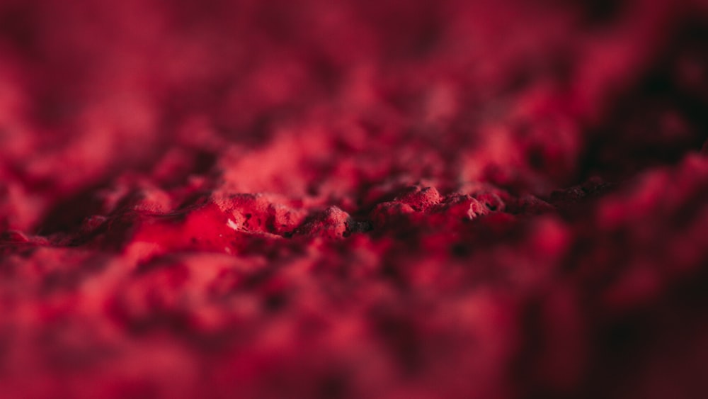 a close up view of a red substance