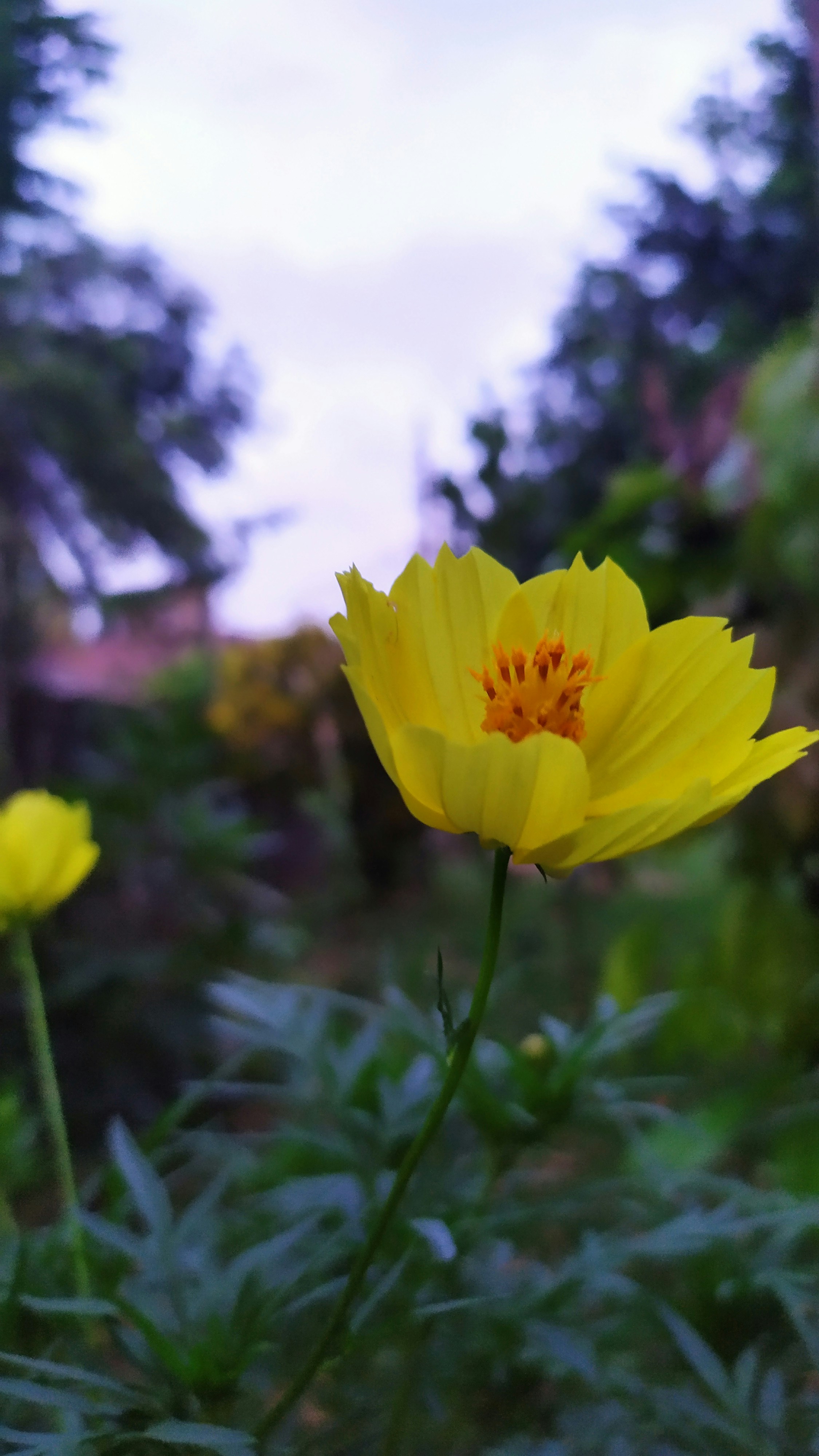 Photo by keiraa