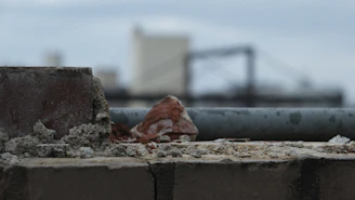 Close-up of industrial cleaning equipment pressure washing a brick wall on a commercial building.