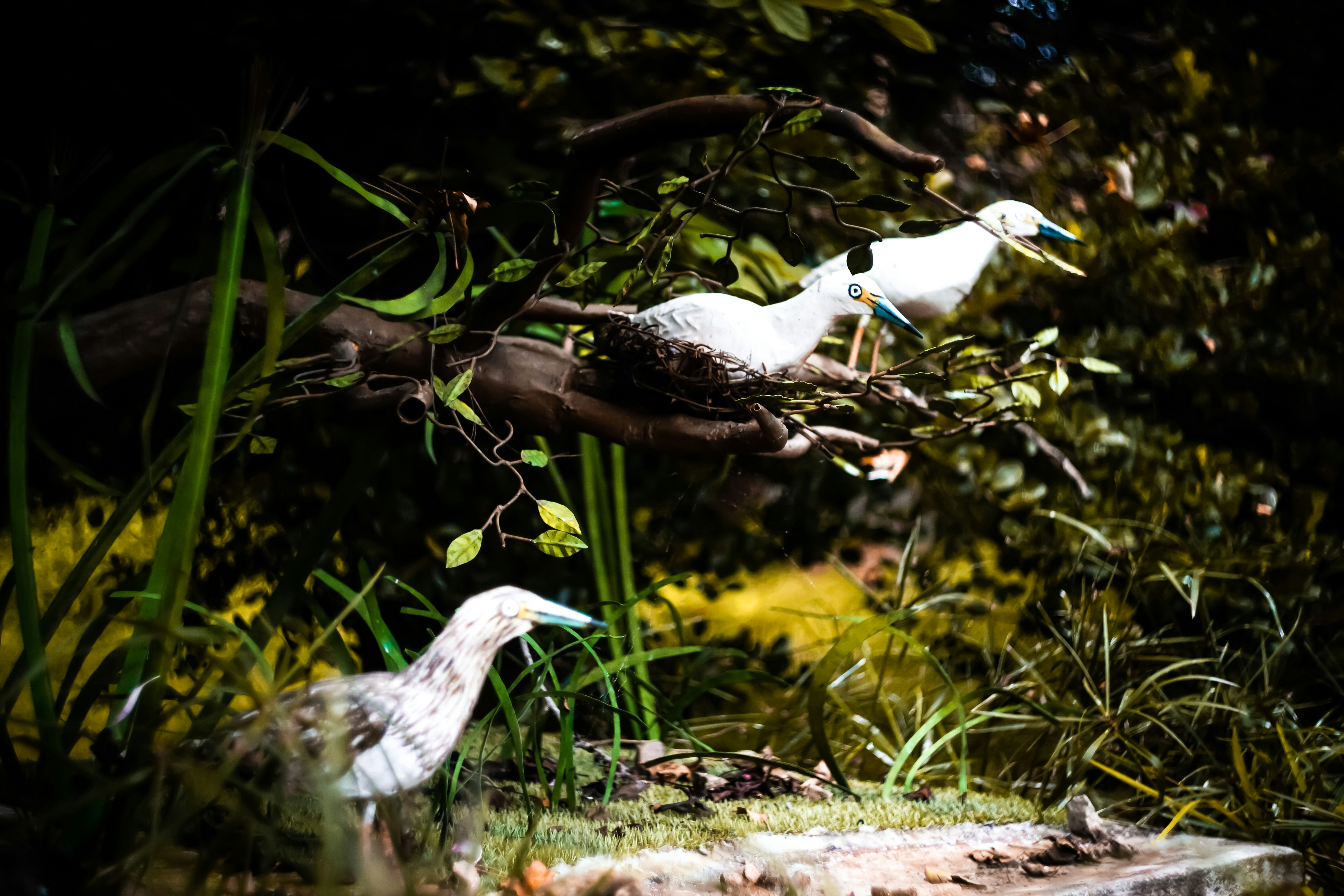 Photo by alekseyryan